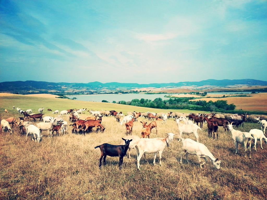 Agriturismo L'Impero 圣塔·卢斯 外观 照片