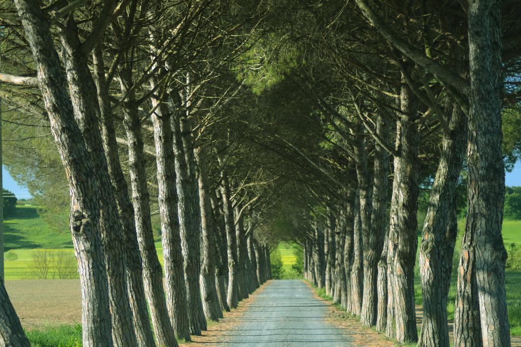 Agriturismo L'Impero 圣塔·卢斯 外观 照片