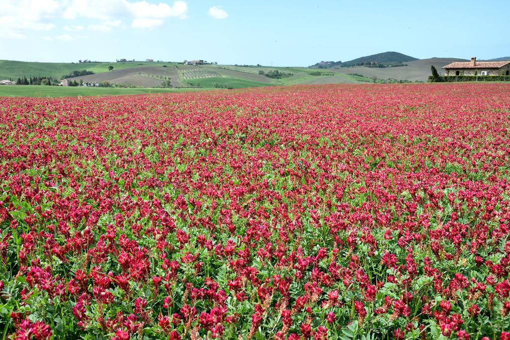 Agriturismo L'Impero 圣塔·卢斯 外观 照片