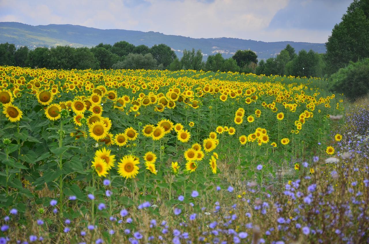 Agriturismo L'Impero 圣塔·卢斯 外观 照片